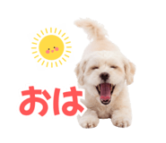853308801