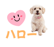 853308802