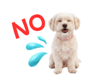 853308806