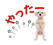 853308808