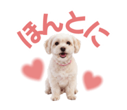 853308810