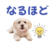853308813