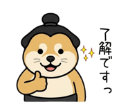 853309641