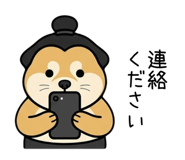 853309653