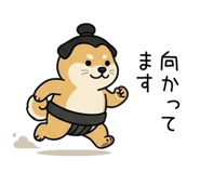853309654