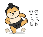 853309675