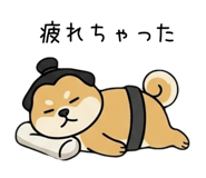 853309677