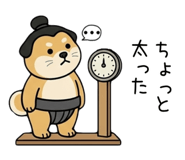 853309679