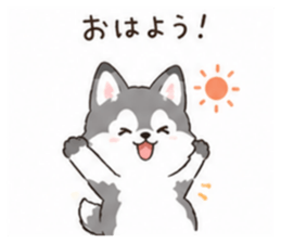 853310620