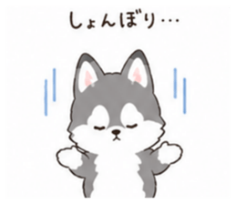 853310626