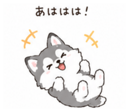 853310628