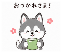 853310629