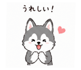 853310633