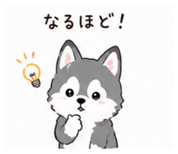 853310636