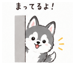 853310639