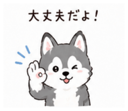 853310640