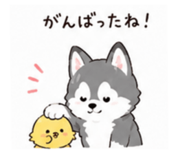 853310641