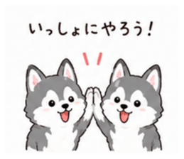 853310642