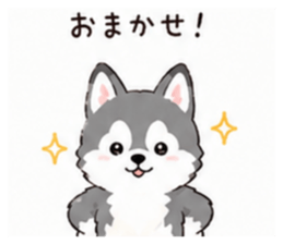 853310643