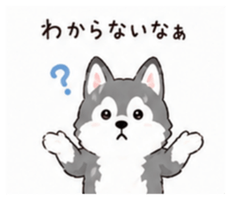 853310645