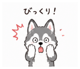 853310646