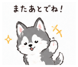 853310648