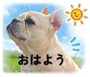 853311284