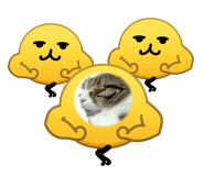 853311386