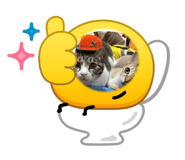 853311390