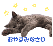 853311443