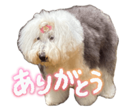 853311677