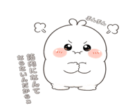 853312365