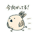 853312738