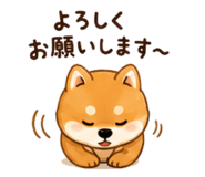853314989