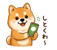 853315004