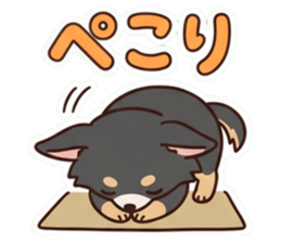 853319275