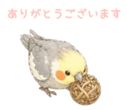 853320026