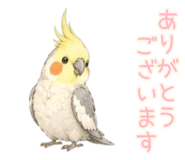 853320028