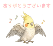 853320031