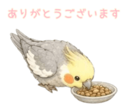 853320034