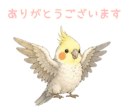 853320036