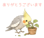 853320039