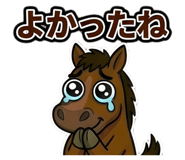 853320050