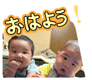 853320166
