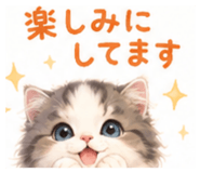 853320281