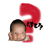 853321201
