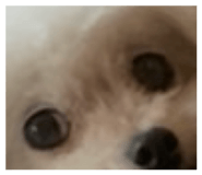 853321876