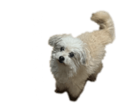 853321878