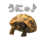853321991