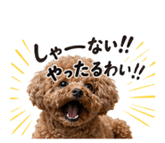 853322085